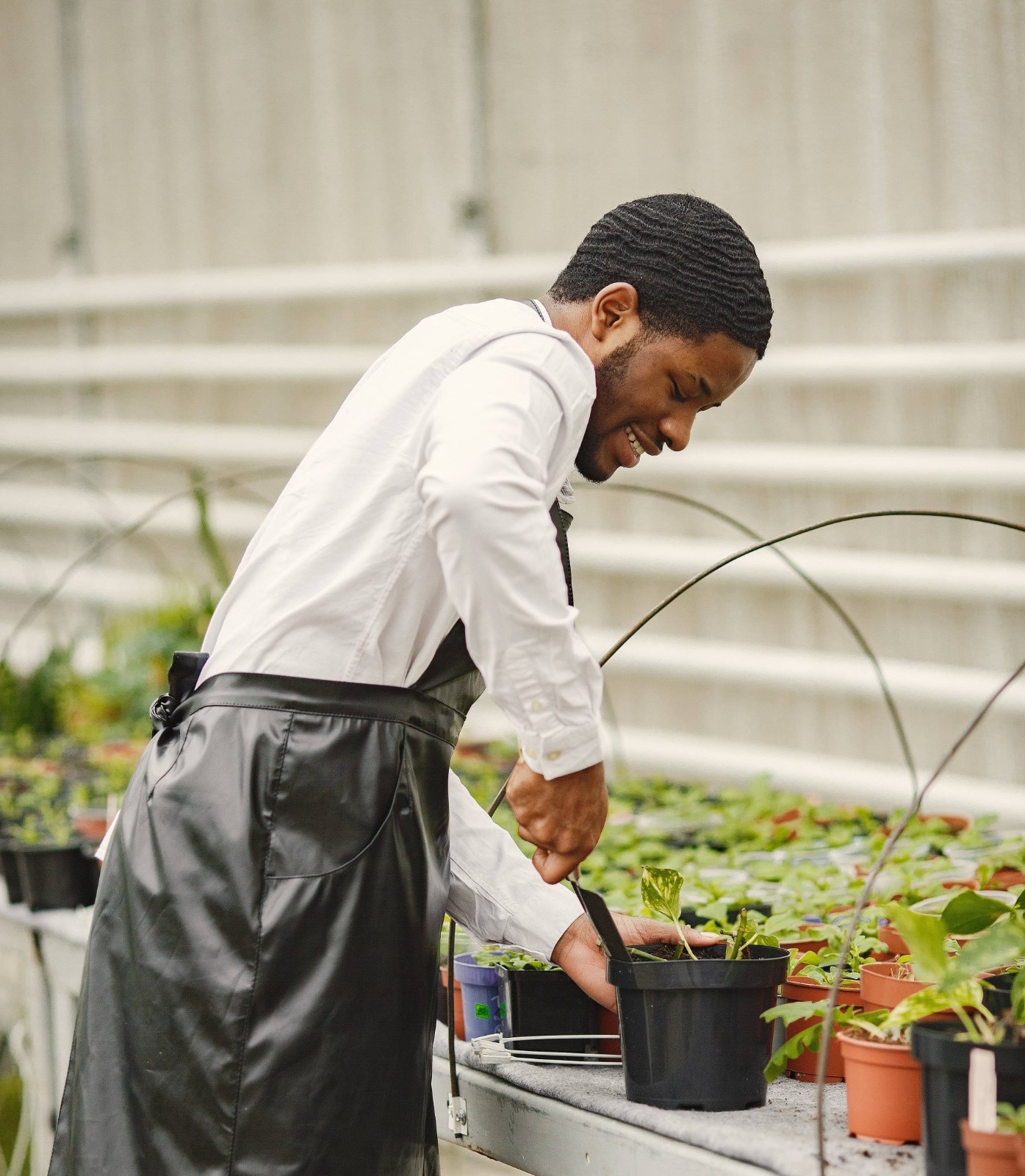 Farmer working field